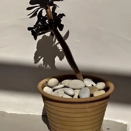 New In The City! * Kos By