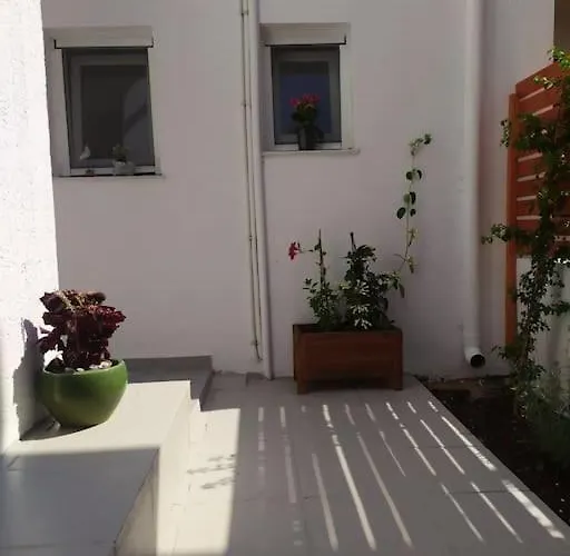 New In The City! Kos