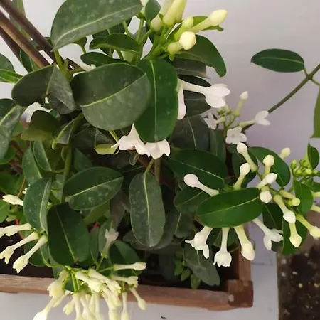 펜션 New In The City!