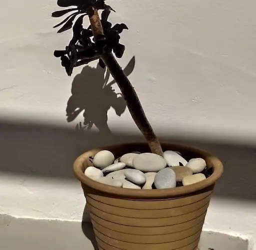 New In The City! * 코스 타운