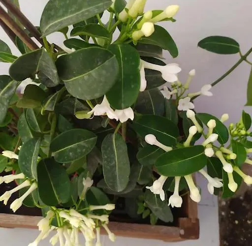 Prázdninový dům New In The City!